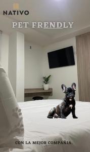 Fotografie z fotogalerie ubytování Hotel Nativo v destinaci Valledupar