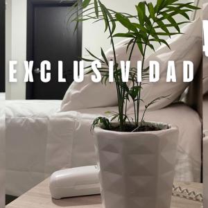 Fotografie z fotogalerie ubytování Hotel Nativo v destinaci Valledupar