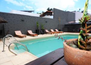 a swimming pool with chairs and a cactus next to a building at Lion D`Or in Villa Carlos Paz +8 photos