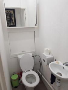 een badkamer met een wit toilet en een wastafel bij Pretty and neat bedroom in my cosy appartment. in Puteaux