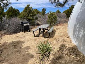 a picnic table and a grill in a field at Canyon Rim Domes - A Luxury Glamping Experience!! in Monticello