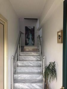 Fotografie z fotogalerie ubytování The Olive View Apartment by Ceni, Elbasan v destinaci Elbasan