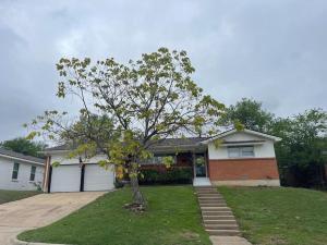 una casa con un árbol en el patio delantero en Cozy, Fam Friendly Home Min from Stkyards, en Fort Worth