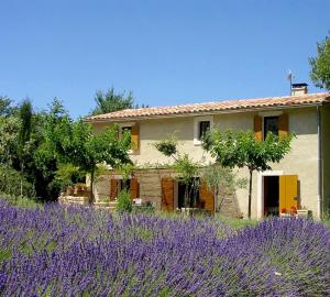 une maison avec un champ de lavande en face de celle-ci dans l'établissement Gîte St Roch en Luberon, à Castellet