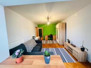 sala de estar con sofá y pared verde en 2 Bedroom Apartment and Separate Kitchen 52mp, en Timisoara