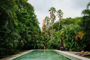 a swimming pool in the middle of a forest of palm trees at Hacienda extraordinaria, jardines preciosos y pirámides 