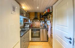 Dapur atau dapur kecil di Stunning Home In Vang P Hedmark With Kitchen