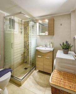 y baño con ducha, aseo y lavamanos. en Fully renovated flat close to Uni & hospitals, en Atenas