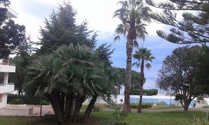 Fotografia z galérie ubytovania Bonito piso con vistas al mar. v destinácii Santa Pola
