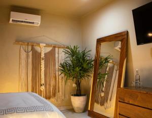 a bedroom with a bed and a mirror and a plant at Hotel Scappata in Progreso