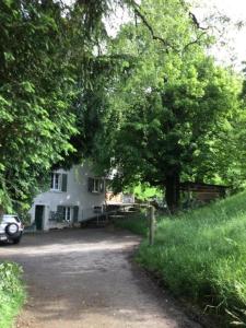 a large tree in front of a white house at Ferienwohnung Hof unterer Dürrenberg Langenbruck in Langenbruck