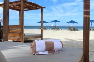 a bed on a beach with chairs and umbrellas at Hotel Scappata in Progreso