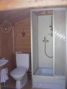 ein Bad mit einer Dusche, einem WC und einem Waschbecken in der Unterkunft Gartenhaus Zimmer in Rüeggisberg