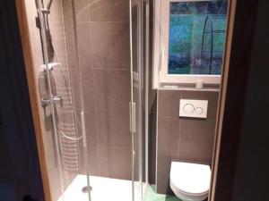 uma casa de banho com um chuveiro, um WC e uma janela. em Chalet - Le Champ des Perches, Berlincourt em Glovelier
