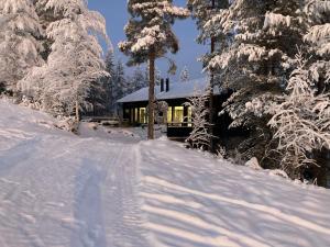 une maison dans la neige avec des arbres enneigés dans l'établissement Porthos Ski Lodge, à Pyhätunturi