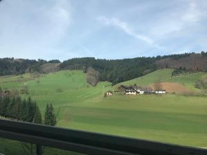 a house in the middle of a green field at Casa Veli Apartments in Offenburg