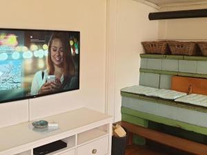 TV a/nebo společenská místnost v ubytování Lamahof