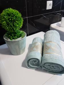 due asciugamani laminati e una pianta in vaso su un bancone del bagno di APARTMAN PARK a Šabac
