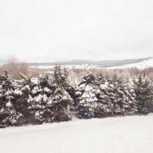 Fotografie z fotogalerie ubytování Górska Dolina v destinaci Stronie Śląskie