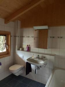 a bathroom with a sink and a toilet at Neuwertiges 2-Zi-Ferienchalet 55m2 in Monstein