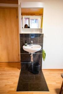 a bathroom with a sink and a mirror at Ferienwohnung Uhu in Altdorf