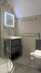 a bathroom with a shower and a sink and a toilet at Avis Hotel in Bromley