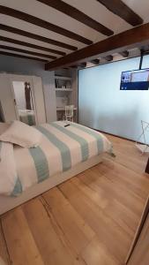 a bedroom with a bed and a flat screen tv at Precioso apartamento al lado de la Catedral in Burgos