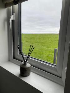um peitoril de janela com um vaso com paus em Farr North Lodge 2 With Hot-Tub em Wick