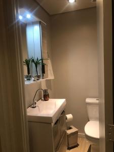een badkamer met een wastafel, een toilet en een spiegel bij Pousada Somenzi in Bento Gonçalves