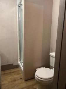een badkamer met een wit toilet en een douche bij The Fox Inn in Abingdon