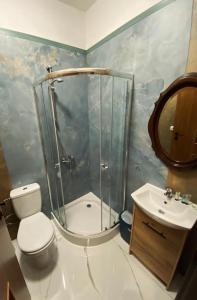 a bathroom with a shower and a toilet and a sink at Przystań Rudniki 
