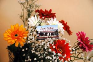 Fotografie z fotogalerie ubytování Lucy's cottage v destinaci Cinisi