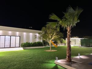 a palm tree in the middle of a yard at night at Quiet House villa in Hatta