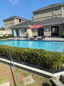 a swimming pool with bushes in front of a house at Moonpopson Luxury Apartments, Fourways Sandton in Sandton