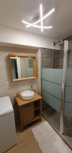 a bathroom with a sink and a shower at Logement entier de plain-pied in Épagny