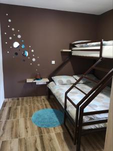a bedroom with a bunk bed with a blue rug at Blue Lagoon Apartments in Crni Vrh