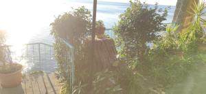 Galeriebild der Unterkunft Locazione Turistica Sul Mare Strada Costiera 244, Trieste in Santa Croce Mare