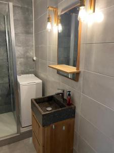 een badkamer met een wastafel, een toilet en een spiegel bij SUPERBE STUDIO A SAINT JEAN DE MONTS in Saint-Jean-de-Monts