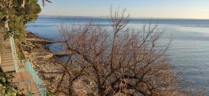 Galeriebild der Unterkunft Locazione Turistica Sul Mare Strada Costiera 244, Trieste in Santa Croce Mare