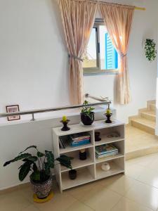 a white book shelf with potted plants in a room at Maison Mina in Oualidia