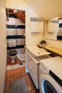 uma pequena casa de banho com um WC e uma máquina de lavar e secar roupa em Mojstranka em Mojstrana