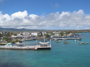 a group of boats docked at a dock in the water at Casa Itabaca II in Puerto Ayora