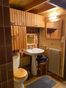 La salle de bains est pourvue de toilettes et d'un lavabo. dans l'établissement RESIDENCE BELLE HUTTE COTÉ PISTES DE SKI 2, à La Bresse
