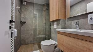 a bathroom with a toilet and a sink at Villa Mont in Jahorina