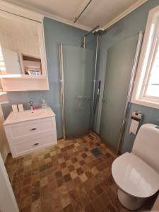 een badkamer met een toilet, een wastafel en een douche bij Grindstugan Högbo in Sandviken
