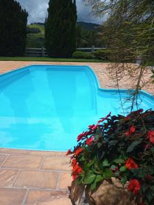 a blue swimming pool with flowers in a garden at Pousada Vale do Café in Bueno Brandão