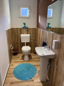 a bathroom with a toilet and a sink and a mirror at Blue Lagoon Apartments in Crni Vrh +92 photos
