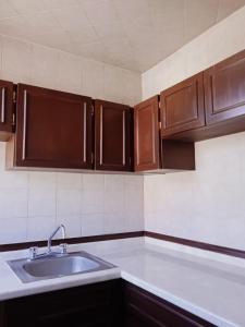 una cocina con fregadero y armarios de madera en Alojamiento GAMA, en Ciudad de México