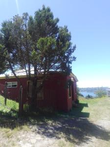 a red house with a tree in front of it at Cabaña la raspa in Castro