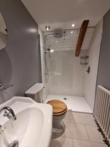 a bathroom with a toilet and a sink and a shower at Wassail Barn Wedmore in Wedmore